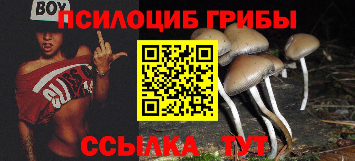 Псилоцибиновые грибы Magic Shrooms Георгиевск